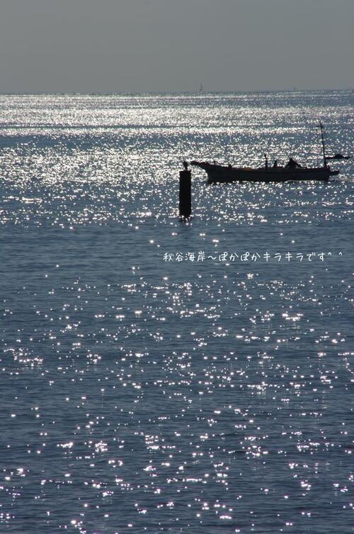 秋の西海岸を楽しむ